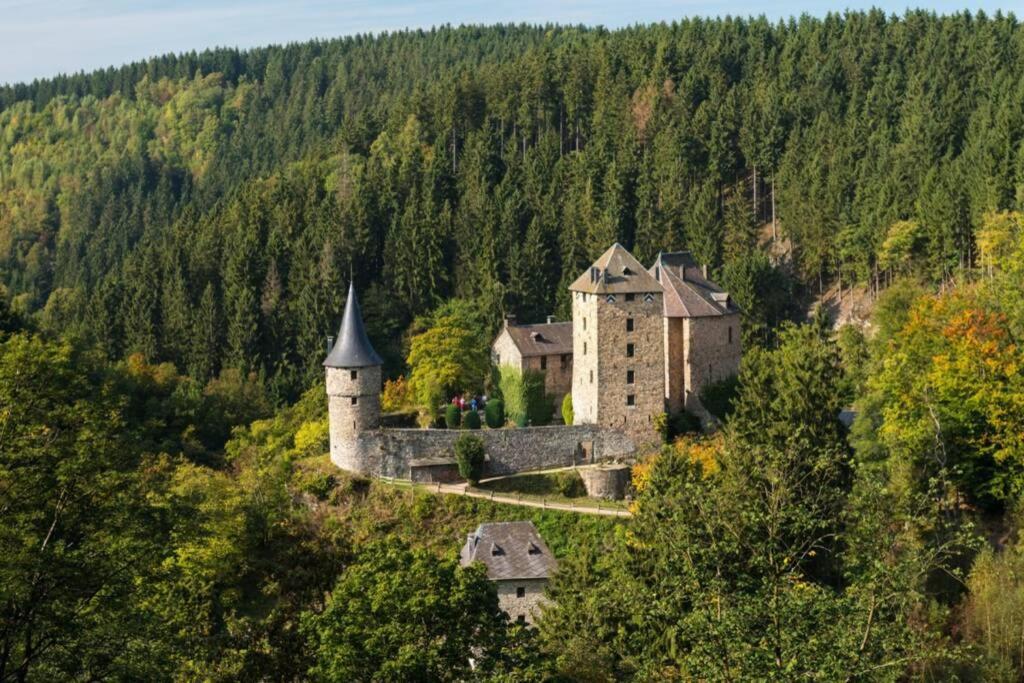 Le Grand Cerf 25 Pers, Malmedy- Chalet Rustique, Jardin المظهر الخارجي الصورة
